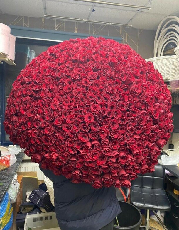 501 роза эквадор, артикул F1157862 - 354000 рублей, доставка по городу. Flawery - доставка цветов