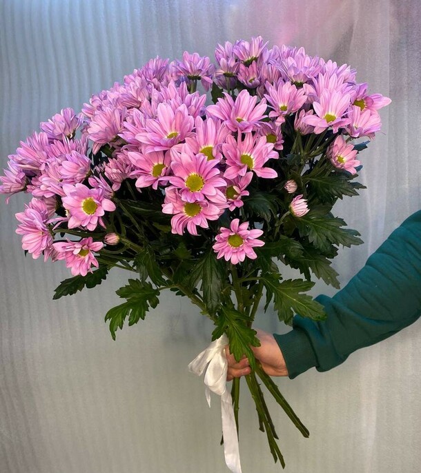 Классический букет розовых хризантем, артикул F1161259 - 6760 рублей, доставка по городу. Flawery - доставка цветов