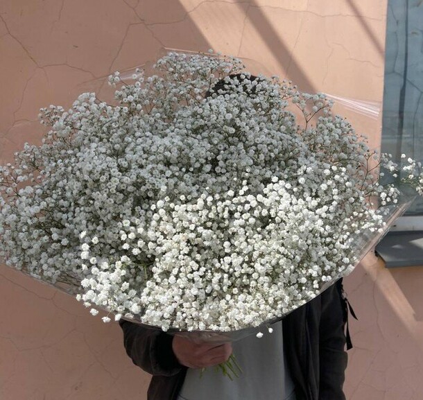 Огромный букет белых гипсофил, артикул F1190494 - 10769 рублей, доставка по городу. Flawery - доставка цветов
