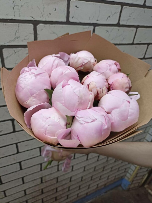 11 розовых пионов, артикул F1191316 - 14000 рублей, доставка по городу. Flawery - доставка цветов