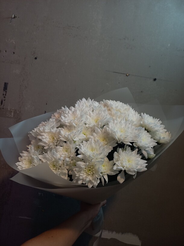 Шикарный букет кустовых хризантем, артикул F1195355 - 7597 рублей, доставка по городу. Flawery - доставка цветов