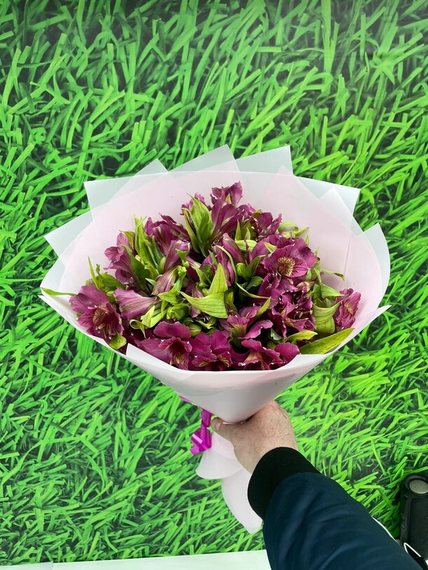 Букет шикарных альстромерий, артикул F1195534 - 4852 рублей, доставка по городу. Flawery - доставка цветов