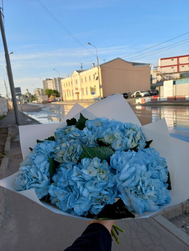Шикарный букет синих гортензий, артикул F1197222 - 6170 рублей, доставка по городу. Flawery - доставка цветов
