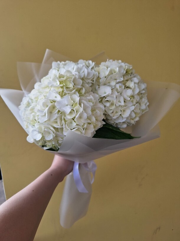 Шикарный букет белых гортензий, артикул F1211281 - 4050 рублей, доставка по городу. Flawery - доставка цветов