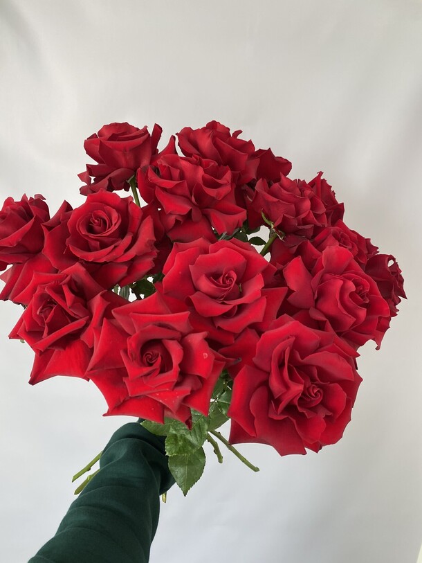 Французские красные розы, артикул F1214615 - 10285 рублей, доставка по городу. Flawery - доставка цветов