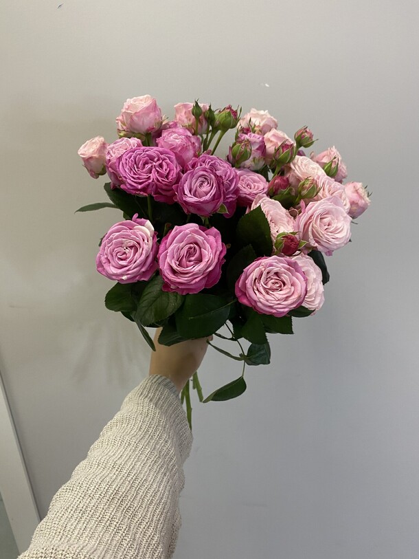 Букет нежных кустовых роз, артикул F1225910 - 6600 рублей, доставка по городу. Flawery - доставка цветов