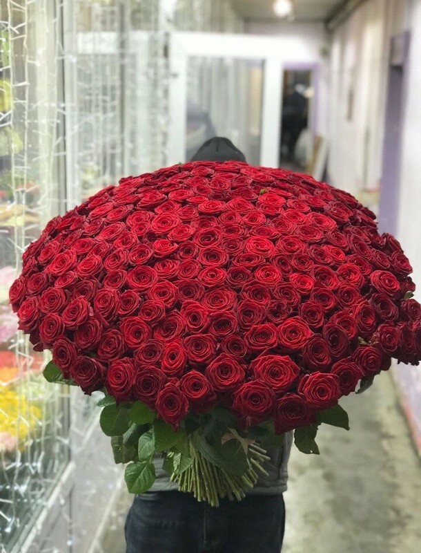 201 красная роза 70см, артикул F1237552 - 72467 рублей, доставка по городу. Flawery - доставка цветов