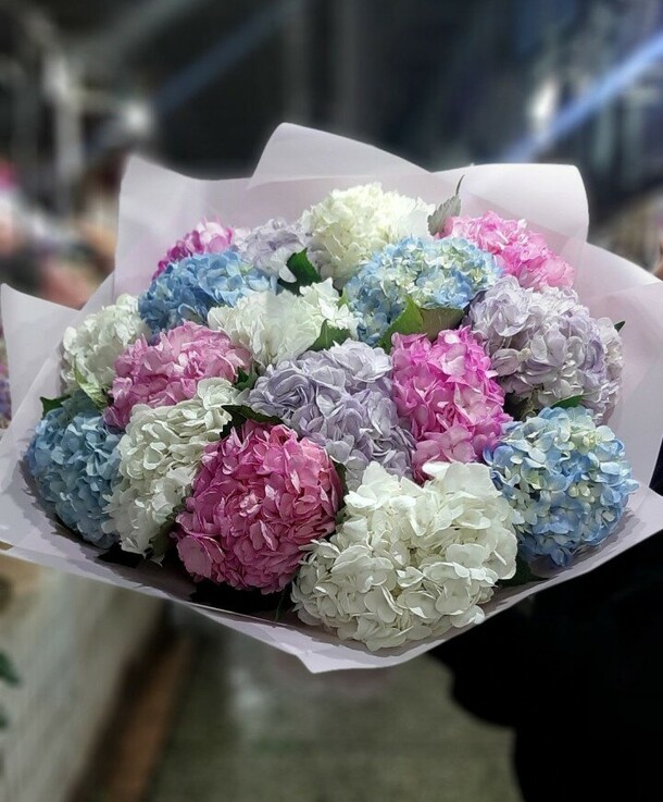 Большой букет гортензий, артикул F1241097 - 23265 рублей, доставка по городу. Flawery - доставка цветов