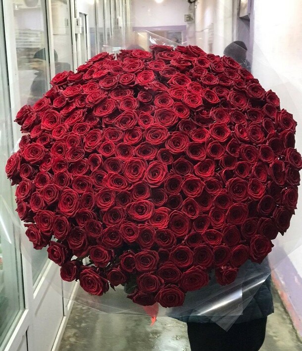 151 красная роза 70см, артикул F1247850 - 57957 рублей, доставка по городу. Flawery - доставка цветов