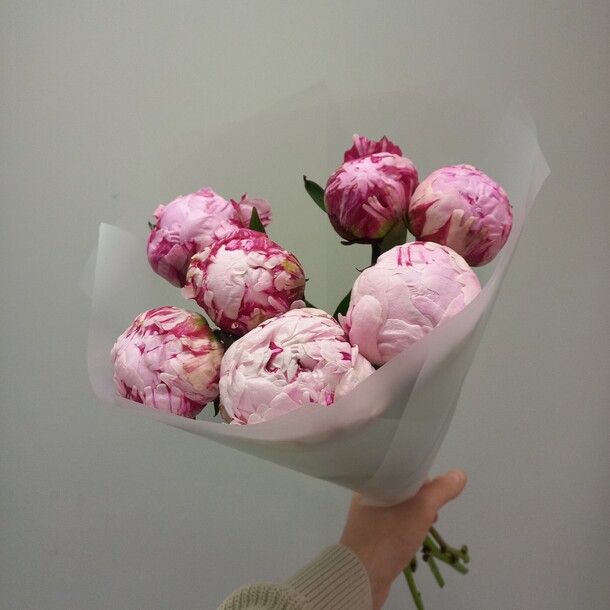 7 пионов, артикул F1247868 - 8400 рублей, доставка по городу. Flawery - доставка цветов