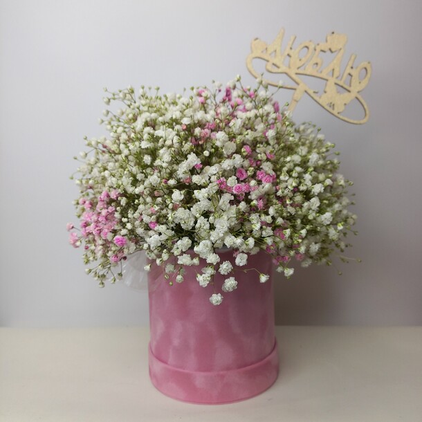 Гипсофила в коробке, артикул F1251841 - 7160 рублей, доставка по городу. Flawery - доставка цветов