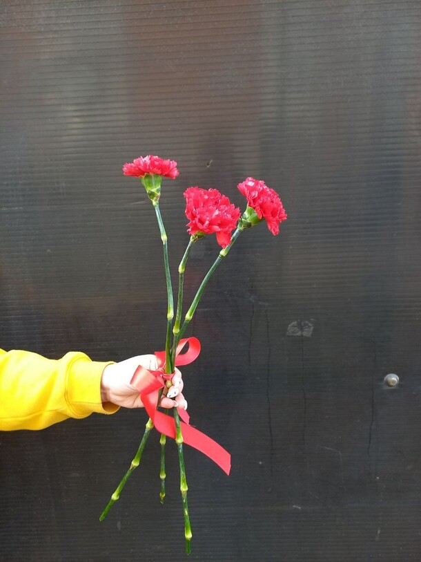 3 гвоздики, артикул F1281527 - 1050 рублей, доставка по городу. Flawery - доставка цветов