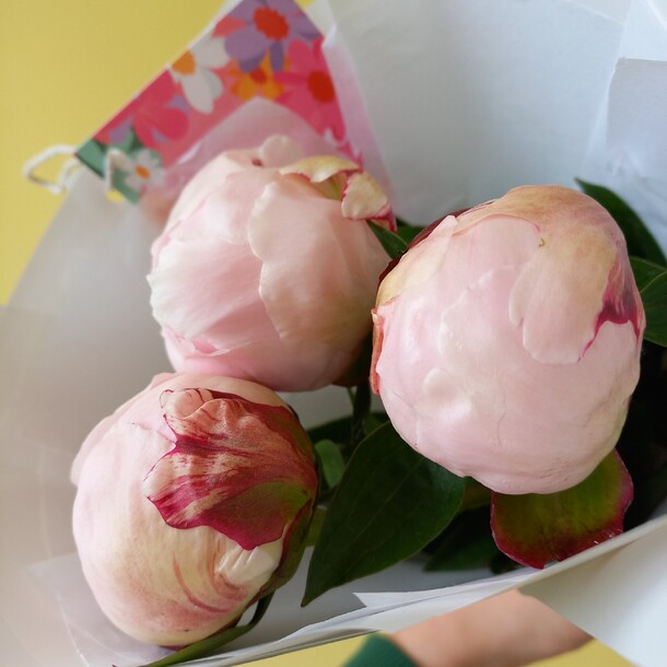 Нежный букет пионов ❤️, артикул F1281541 - 4500 рублей, доставка по городу. Flawery - доставка цветов