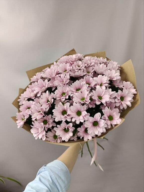 Букет из 5 розовых хризантем <3, артикул F1402459 - 3000 рублей, доставка по городу. Flawery - доставка цветов