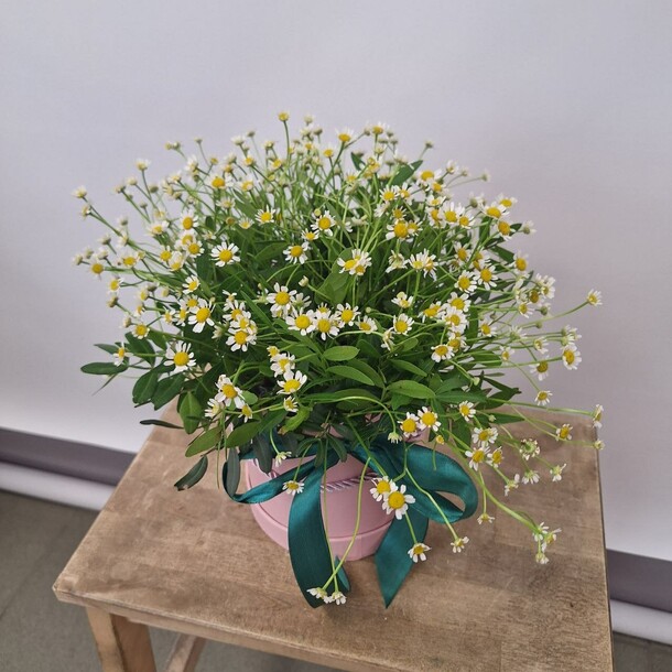 Композиция "летний день", артикул F1419631 - 3497 рублей, доставка по городу. Flawery - доставка цветов