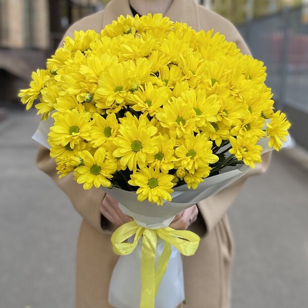 Букет хризантем "желтый бархат", артикул F1430328 - 3619 рублей, доставка по городу. Flawery - доставка цветов