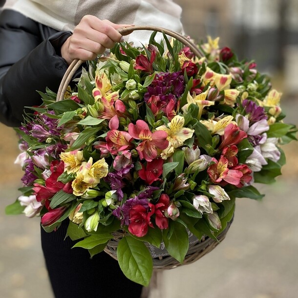 55 ярких альстромерий в корзине, артикул F1432218 - 17536 рублей, доставка по городу. Flawery - доставка цветов