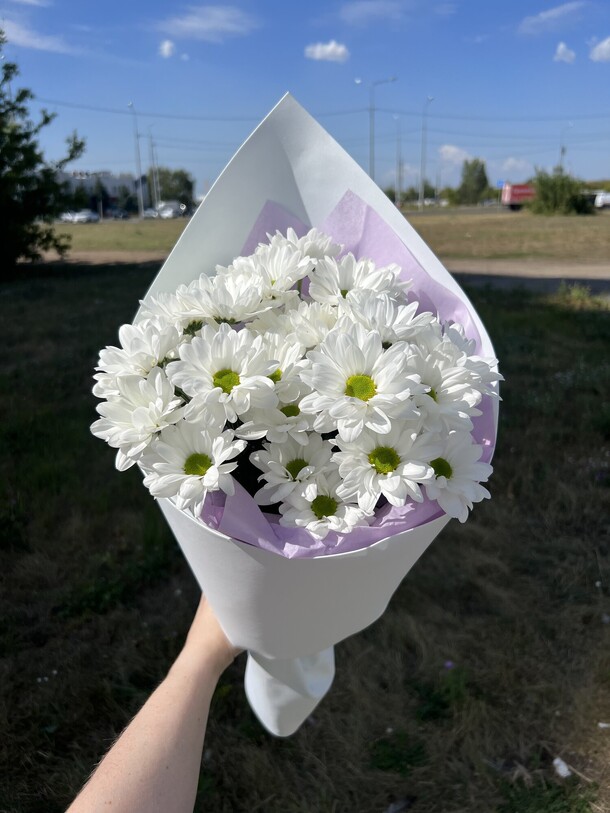 Кустовые хризантемы как ромашки, артикул F1384693 - 1818 рублей, доставка по городу. Flawery - доставка цветов