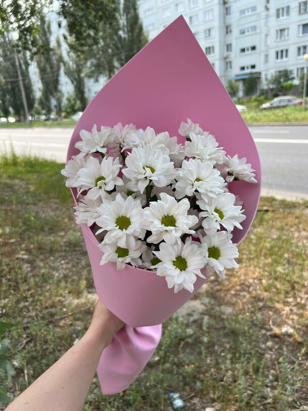 Хризантема кустовая 3, артикул F1401013 - 1818 рублей, доставка по городу. Flawery - доставка цветов