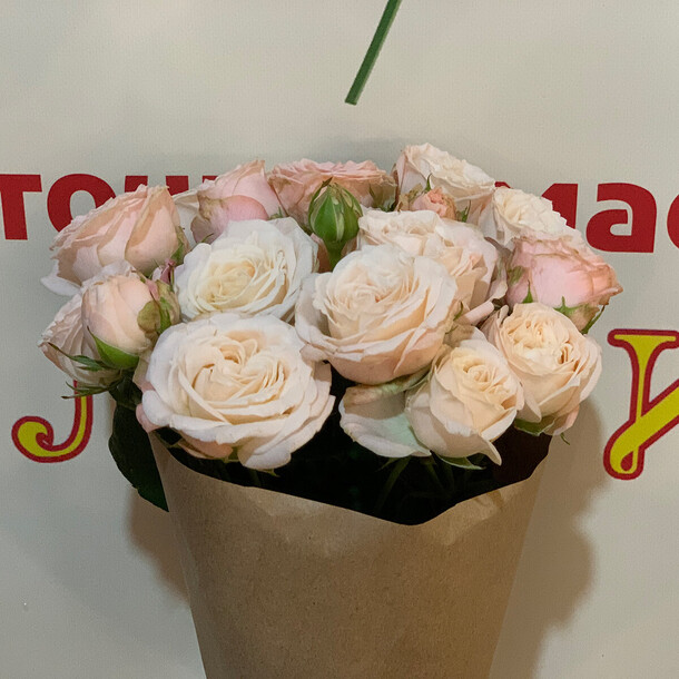 Скромный комплимент, артикул F96733 - 8103 рублей, доставка по городу. Flawery - доставка цветов