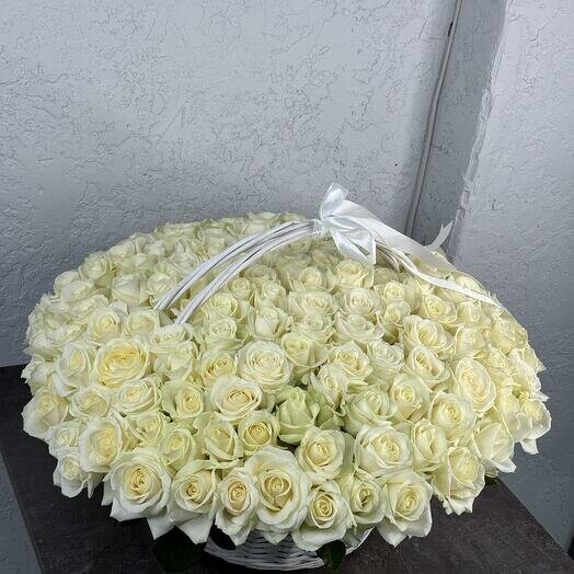 151 белая роза в корзине, артикул F1450744 - 63758 рублей, доставка по городу. Flawery - доставка цветов