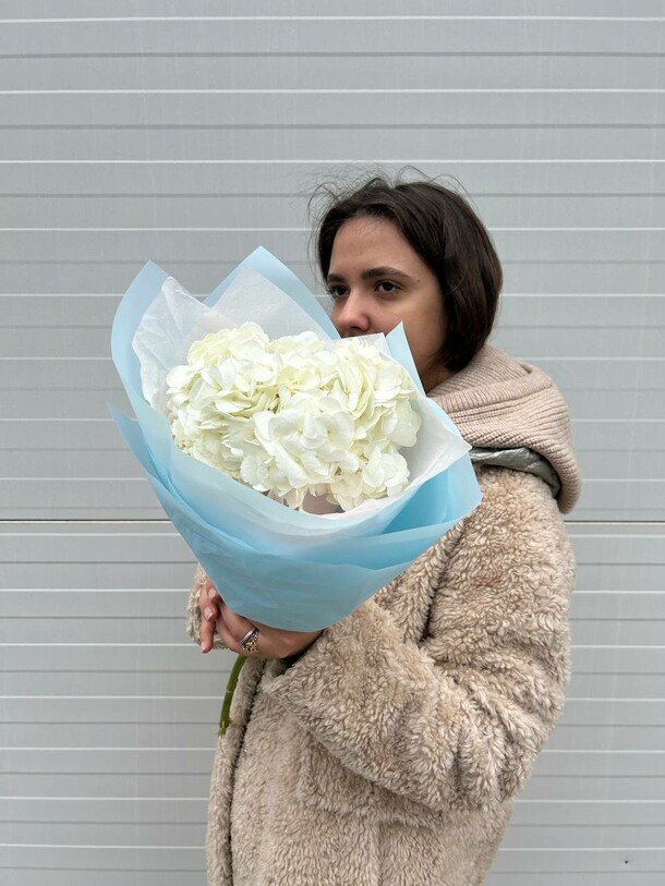 Гортензия, артикул F1202758 - 2000 рублей, доставка по городу. Flawery - доставка цветов