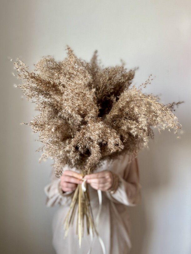 Пампасная трава сухоцвет для интерьера 45 шт, артикул F1407827 - 3500 рублей, доставка по городу. Flawery - доставка цветов