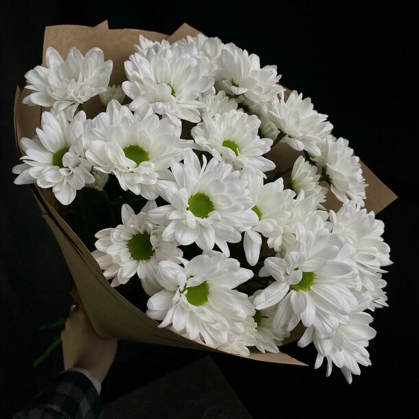 Букет из хризантемы «ромашки», артикул F1172911 - 1950 рублей, доставка по городу. Flawery - доставка цветов