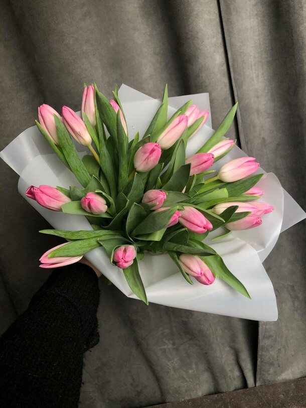 Тюльпаны  21 шт, артикул F1251426 - 4200 рублей, доставка по городу. Flawery - доставка цветов