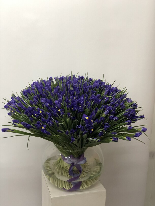 Ирис синий 301 штука, артикул F1178631 - 43990 рублей, доставка по городу. Flawery - доставка цветов