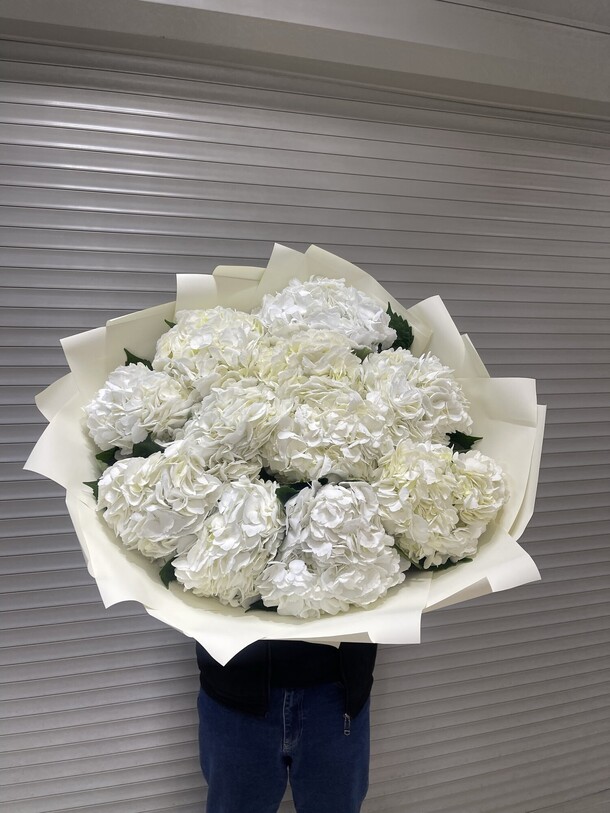 Белая гортензия, артикул F1245410 - 9590 рублей, доставка по городу. Flawery - доставка цветов