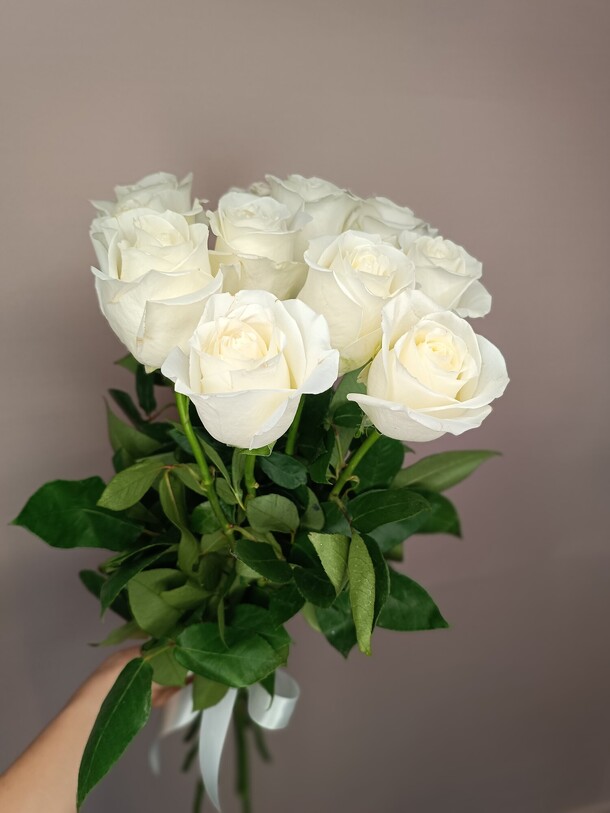 11 белых пионовидных  роз с ленточкой, артикул F1165280 - 3800 рублей, доставка по городу. Flawery - доставка цветов