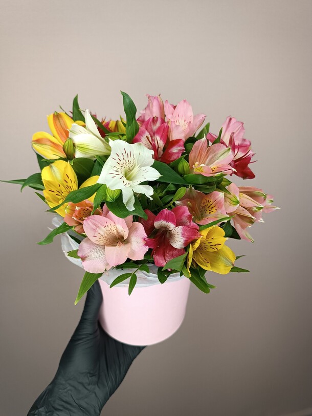 Альстромерии в коробочке, артикул F1229569 - 2600 рублей, доставка по городу. Flawery - доставка цветов