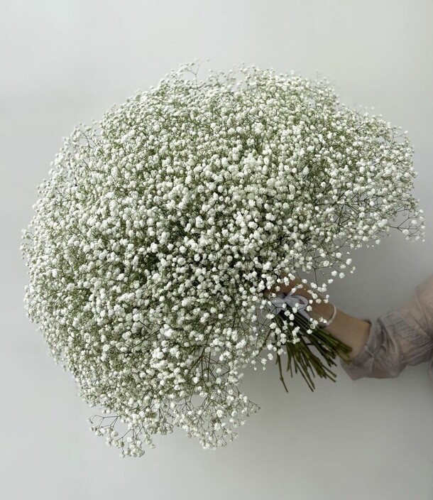 Букет цветов из 45 белых гипсофил, живые цветы под ленту, монобукет, арт: 1792, артикул F1450980 - 33750 рублей, доставка по городу. Flawery - доставка цветов