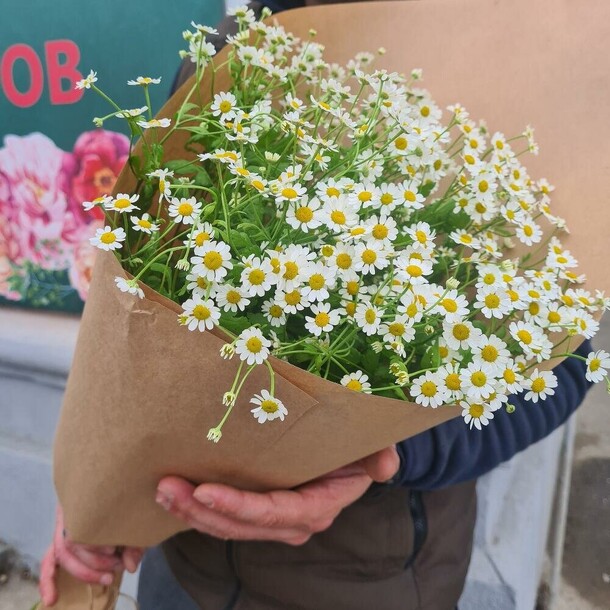 Эко-букет ромашки, артикул F1203297 - 2990 рублей, доставка по городу. Flawery - доставка цветов
