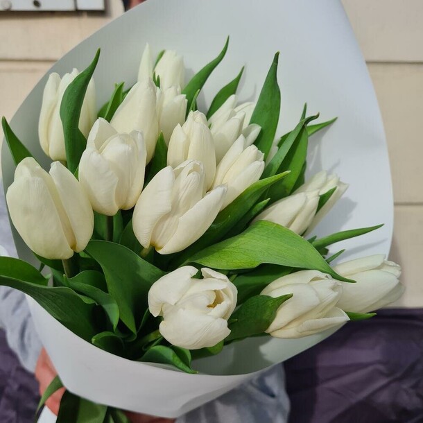 Букет из белых тюльпанов, артикул F1261778 - 3800 рублей, доставка по городу. Flawery - доставка цветов