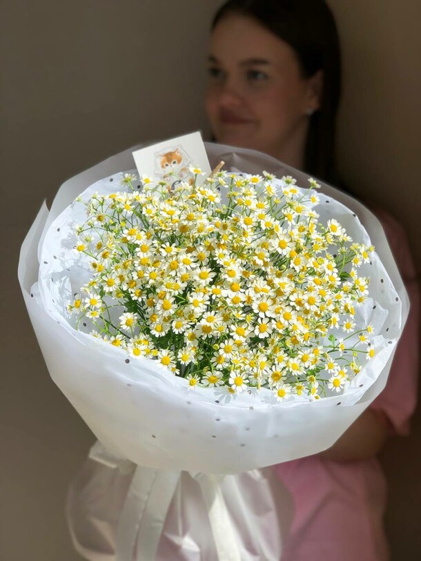 Ромашки полевые, артикул F1409443 - 4500 рублей, доставка по городу. Flawery - доставка цветов