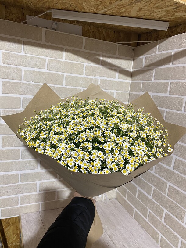 Ромашковые поля, артикул F1090425 - 13903 рублей, доставка по городу. Flawery - доставка цветов