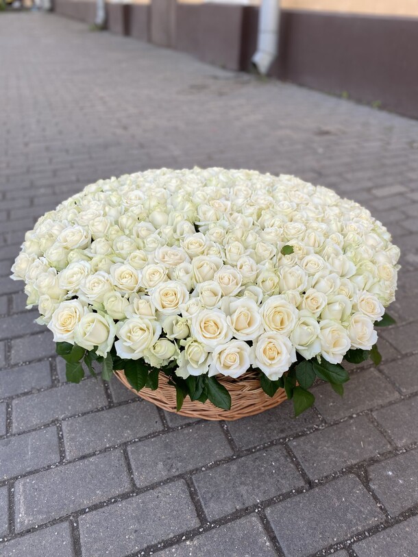 Белый роза-301, артикул F1090426 - 94860 рублей, доставка по городу. Flawery - доставка цветов