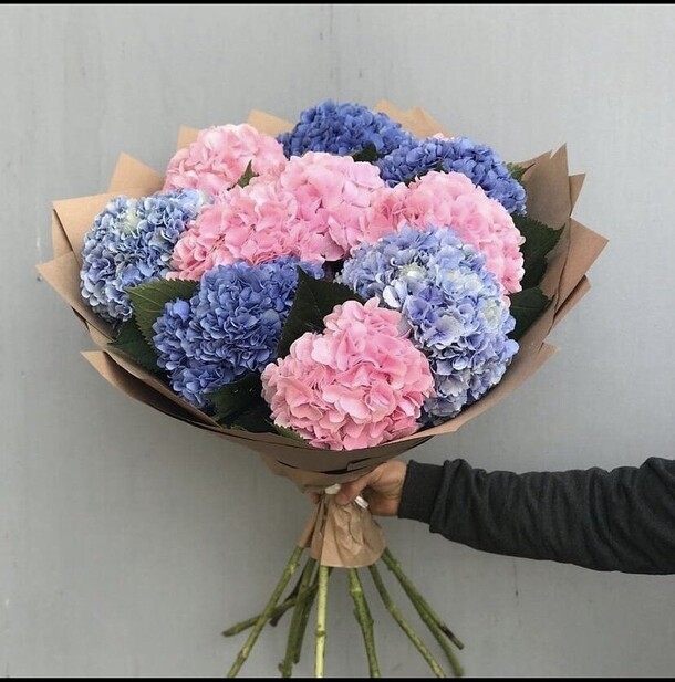 Дикий жасмин, артикул F1107553 - 9999 рублей, доставка по городу. Flawery - доставка цветов