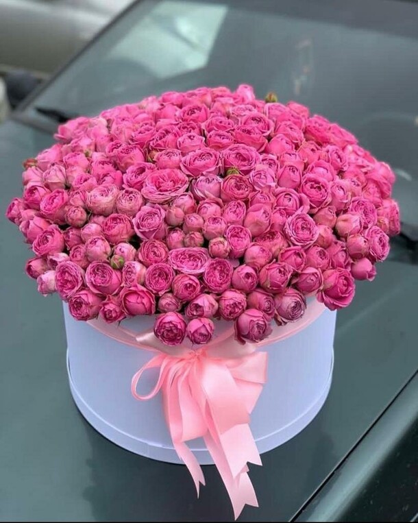 Мисти баблс в коробке, артикул F1156892 - 35400 рублей, доставка по городу. Flawery - доставка цветов