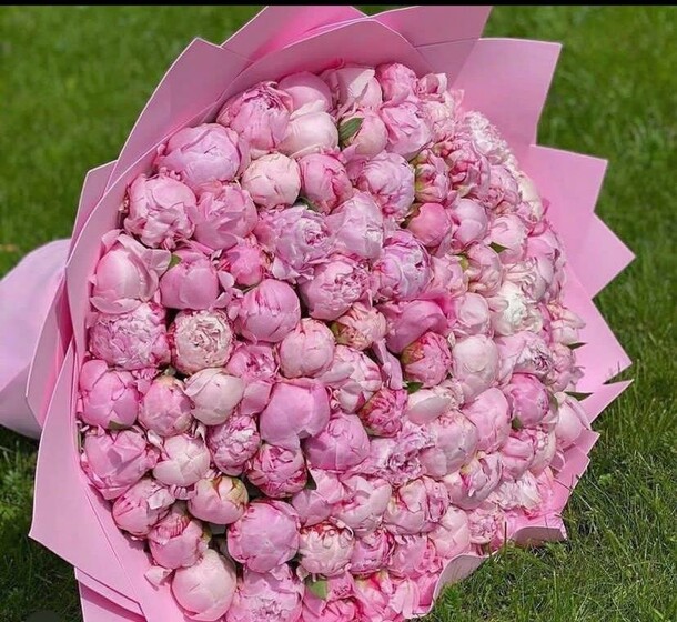 Сара бернард, артикул F1156893 - 102849 рублей, доставка по городу. Flawery - доставка цветов