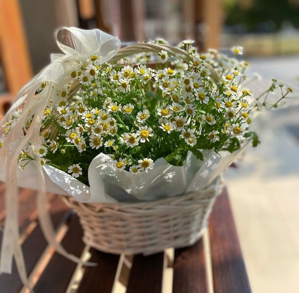 Ромашка с корзинами, артикул F1170775 - 8833 рублей, доставка по городу. Flawery - доставка цветов