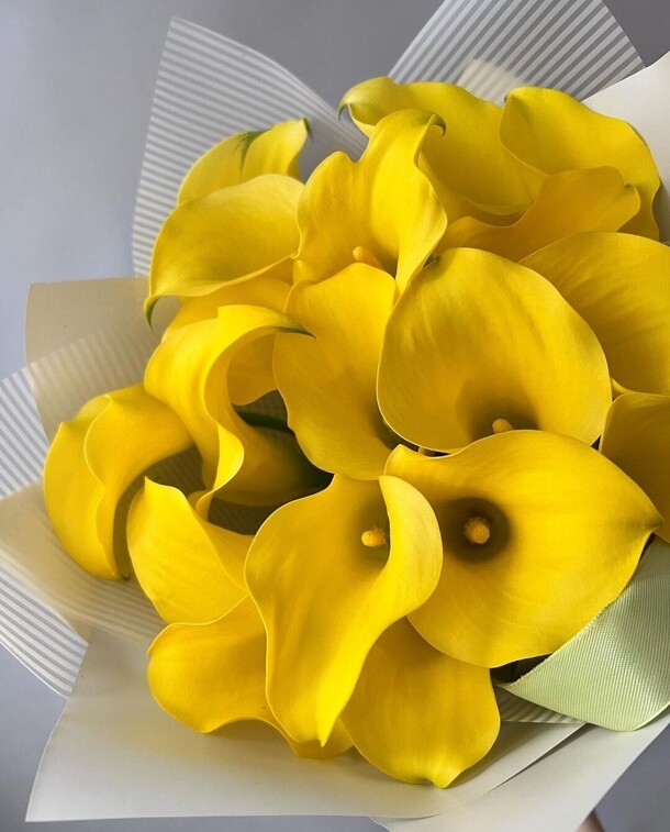 Жёлтый калла, артикул F1180579 - 14978 рублей, доставка по городу. Flawery - доставка цветов