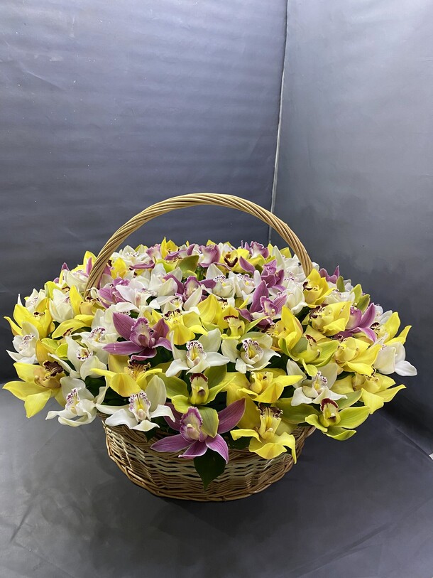 Орхидея, артикул F1194200 - 46584 рублей, доставка по городу. Flawery - доставка цветов