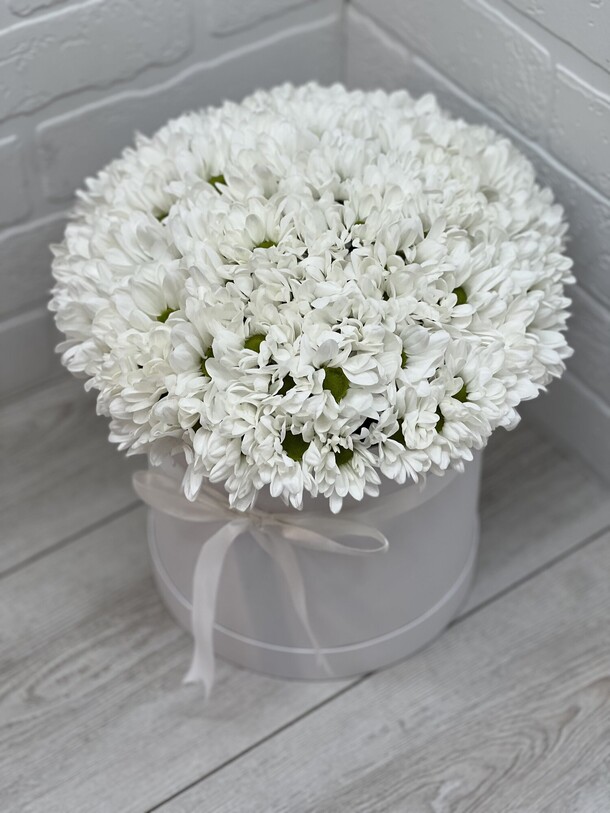 Хризантема в коробке, артикул F1198775 - 9662 рублей, доставка по городу. Flawery - доставка цветов