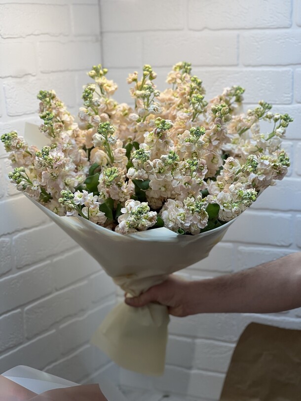 Маттиола белая 29, артикул F1200576 - 14978 рублей, доставка по городу. Flawery - доставка цветов