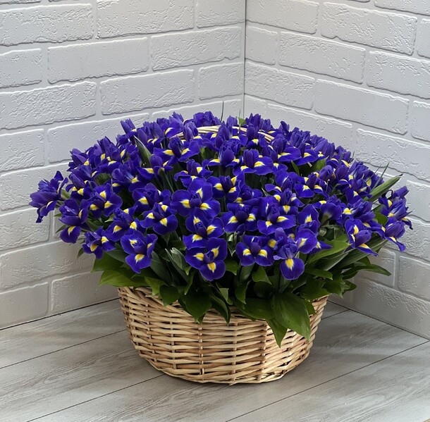 Синий ирис в корзине, артикул F1200736 - 24884 рублей, доставка по городу. Flawery - доставка цветов