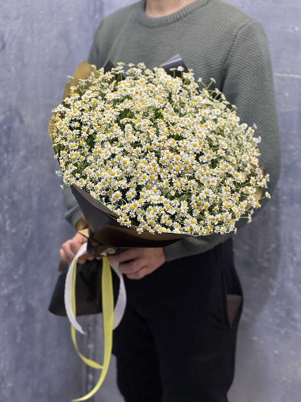 Ромашка кустовая в черной упаковке, артикул F1228142 - 7259 рублей, доставка по городу. Flawery - доставка цветов