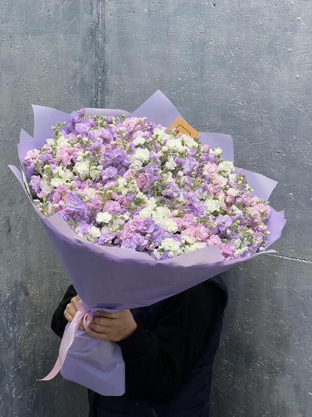 Маттиола микс, артикул F1228404 - 19964 рублей, доставка по городу. Flawery - доставка цветов